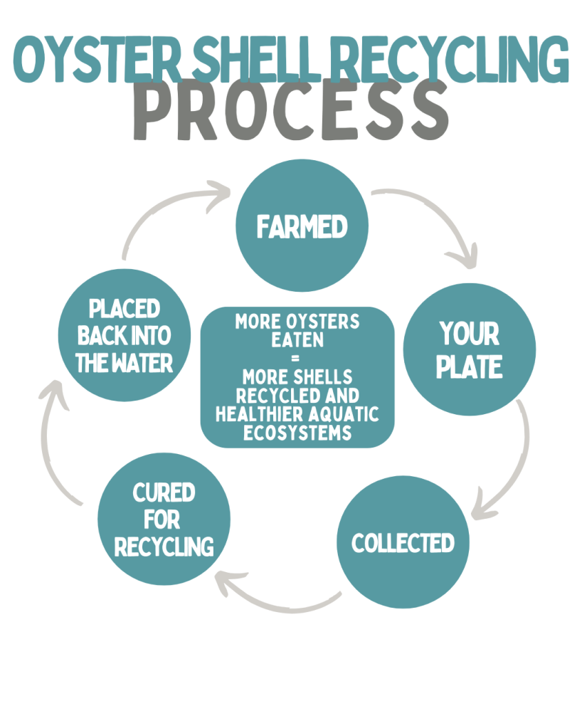 oyster recycling