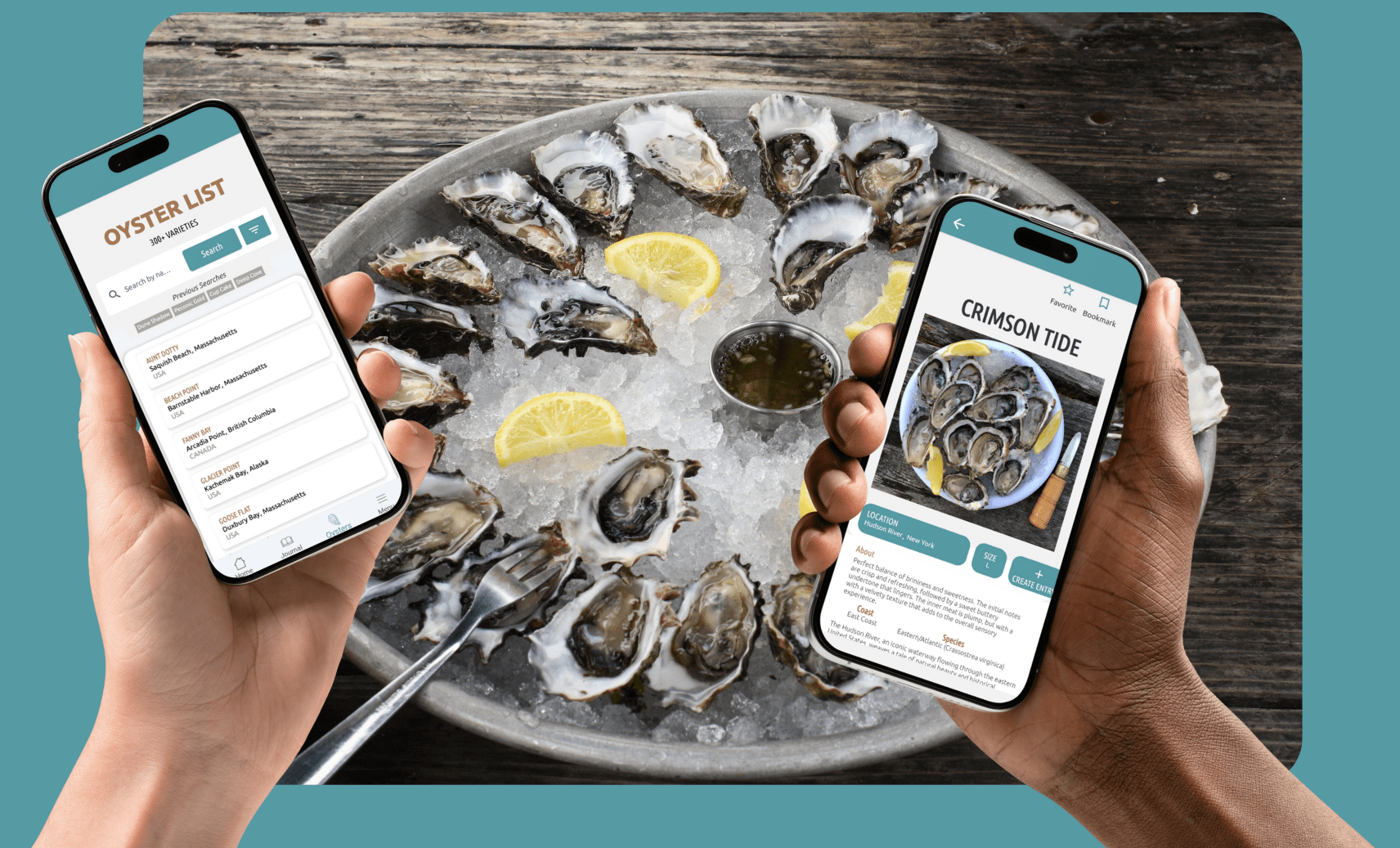 oyster community